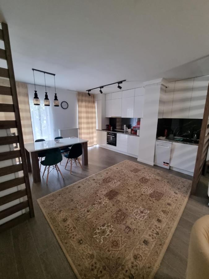 Apartament Superb In Regim Hotelier- Arad Plaza Екстериор снимка